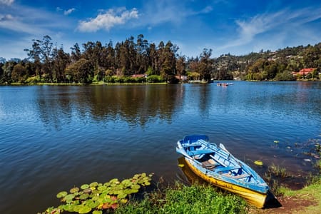 Tigre Delta Premium Boat Tour & Empanadas Experience from Buenos Aires