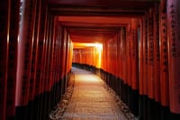 Kyoto Fushimi Inari Night Walking Tour 2