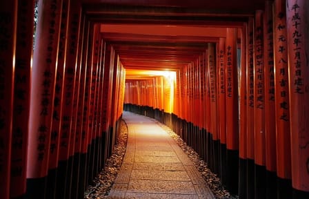 Kyoto Fushimi Inari Night Walking Tour