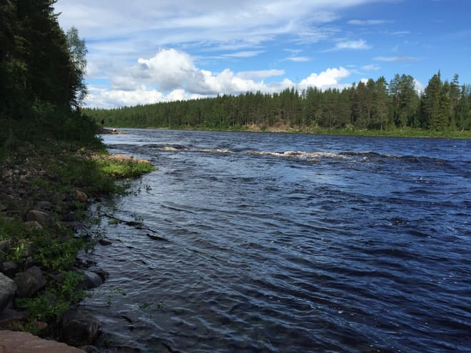 Rod Fishing from the Shore in Rovaniemi photo 2