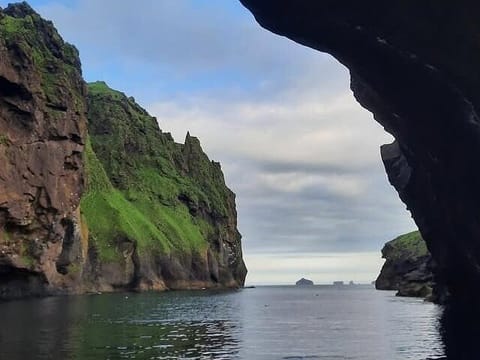 Vestmannaeyjar Westman Islands Private Tour, photo 4