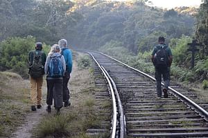 Hike to Horton Plains Border via Rail Tracks