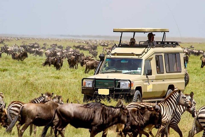 Best Kenya and Tanzania Private Safari: Explore 7 Iconic Parks