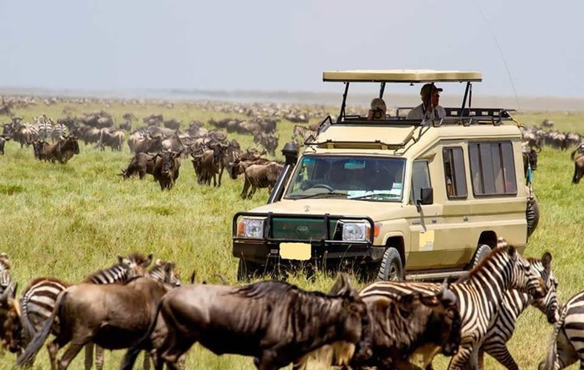 12-Day Best Kenya and Tanzania Budget Private Safari from Nairobi