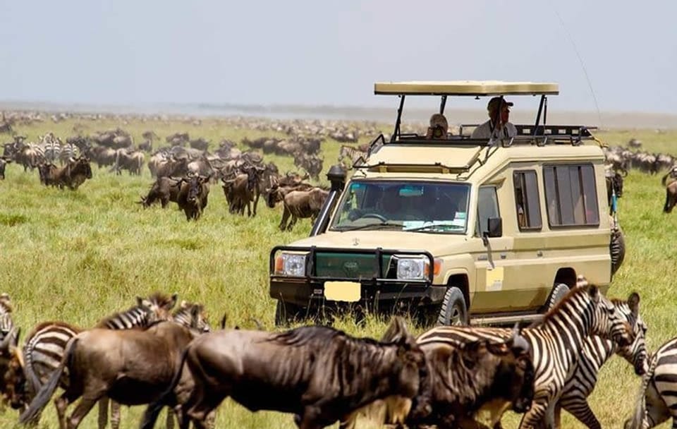 12-Day Budget Private Safari in Kenya and Tanzania from Nairobi