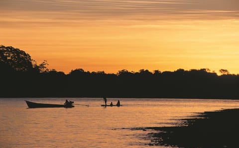 Amazon Rainforest Adventure Tour in Puerto Maldonado, Peru