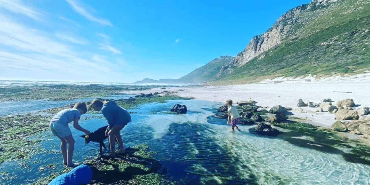 Scarborough: Coastal Foraging and Wild Food Lunch