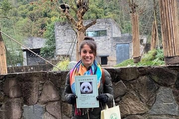 Dujiangyan Panda Volunteering Experience with Lunch Included