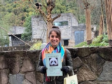 Dujiangyan Panda Volunteering Experience with Lunch