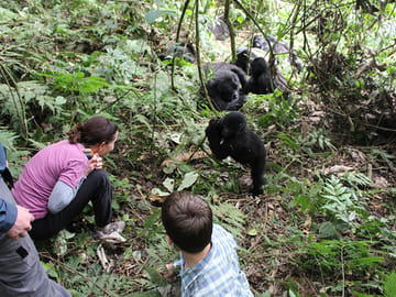 Full-Day African Safari Adventure in Kampala, Uganda