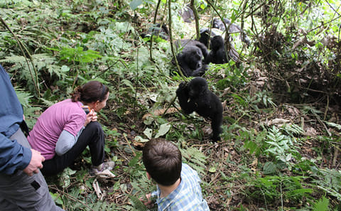 Full-Day African Safari Adventure in Kampala, Uganda