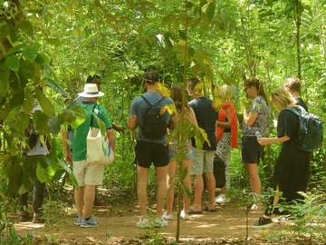 Zanzibar Culture Discovery Tour and Beach Relaxation