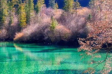 6-Day Chengdu and Jiuzhaigou Nature and Sightseeing Tour