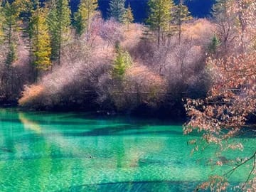 6-Day Essential Chengdu and In-Depth Jiuzhaigou Tour