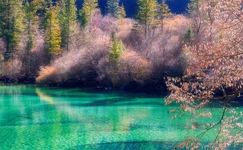 6-Day Chengdu and Jiuzhaigou Nature and Sightseeing Tour