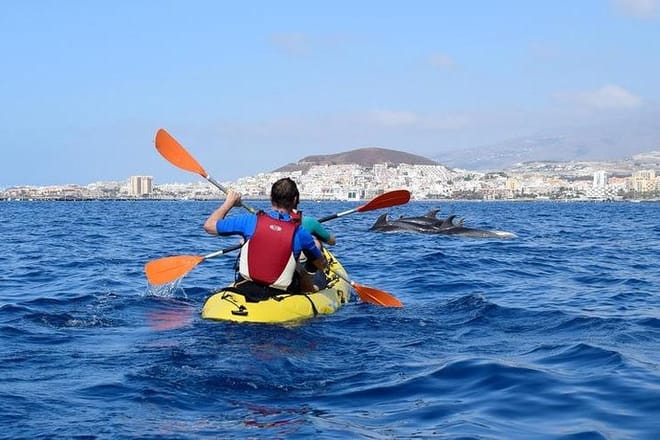 Kayaking, Snorkeling & Swimming  photo 3