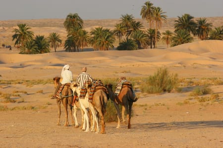 Cairo Camel Ride, ATV Adventure & Nile Dinner Cruise Experience