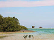 Nabq Protectorate Adventure Private Safari in Sharm EL Sheikh 8
