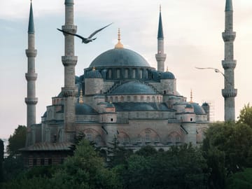 Immersive South Eastern Turkiye : Culinary & Cultural Tour