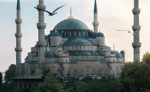 Immersive South Eastern Turkiye : Culinary & Cultural Tour