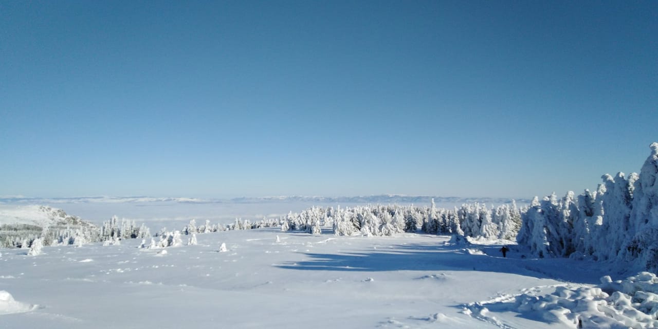 Private Snowshoeing Vitosha for 1 day 4