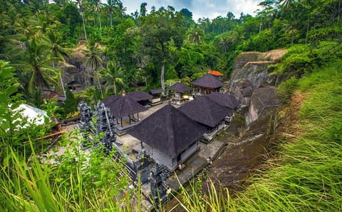 Private Full-Day Tour of Balinese Temples and Rice Terraces in Gianyar