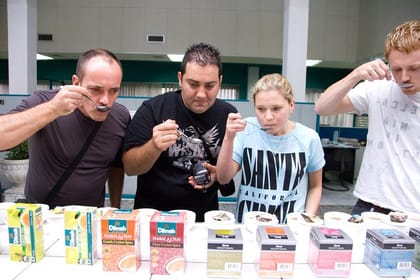 Ceylon Tea Tour | 10 Days