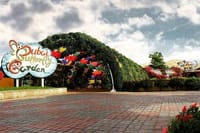  Dubai Butterfly Garden  4