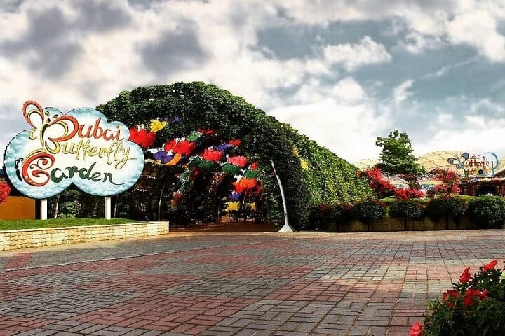  Dubai Butterfly Garden  4