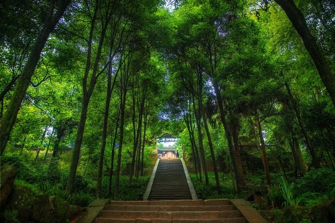 Private Tour to Dujiangyan & Mt Qingcheng from Chengdu 3