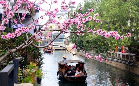 Private Day Trip to Suzhou from Shanghai with Optional Bullet Train