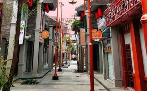 Guided Chinatown Exploration Tour in Central Jakarta