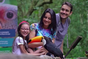 Three-Day Nature and Culture Tour of Foz do Iguaçu