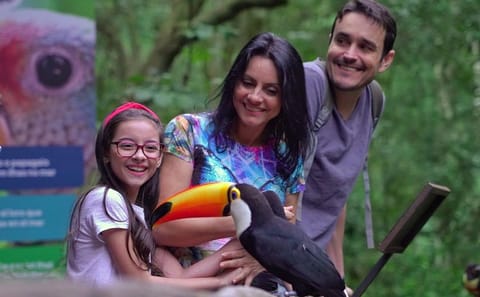 Three-Day Nature and Culture Tour of Foz do Iguaçu