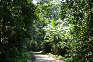 Cuc Phuong National Park Day Tour – Hiking