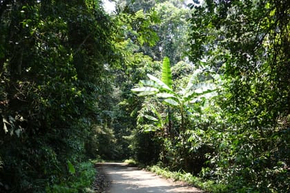 Cuc Phuong National Park Day Tour – Hiking