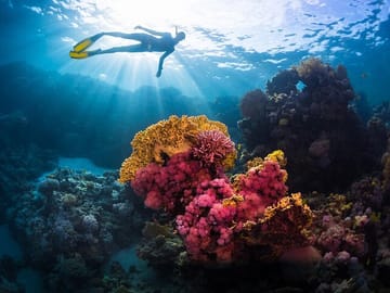 Snorkeling Tour at Sharm El Naga from Hurghada