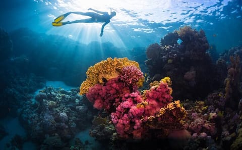 Snorkeling Tour at Sharm El Naga from Hurghada