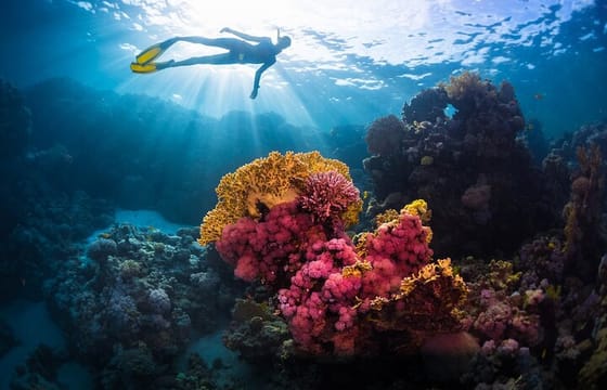 From Hurghada: Sharm El Naga Full-Day Snorkeling Tour