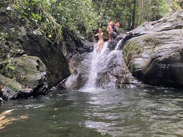Rainforest Tour to a Waterfall in Belize's Cayo District