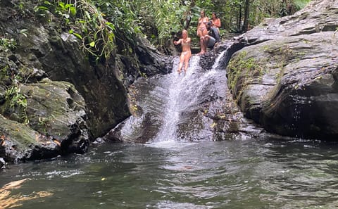 Rainforest Tour to a Waterfall in Belize's Cayo District