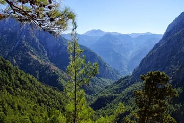 Full Day Tour Samaria Gorge From Chania