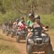 Quad Safari Group