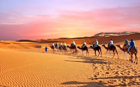 Private 15-Day Cultural Tour of Morocco's Highlights