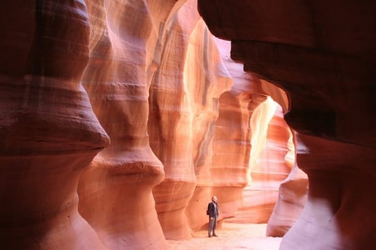 Private 11 Day National Parks Tour Las Vegas to San Francisco via Grand Canyon with Lodging