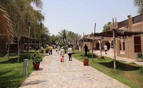 Private Abu Dhabi City Tour
