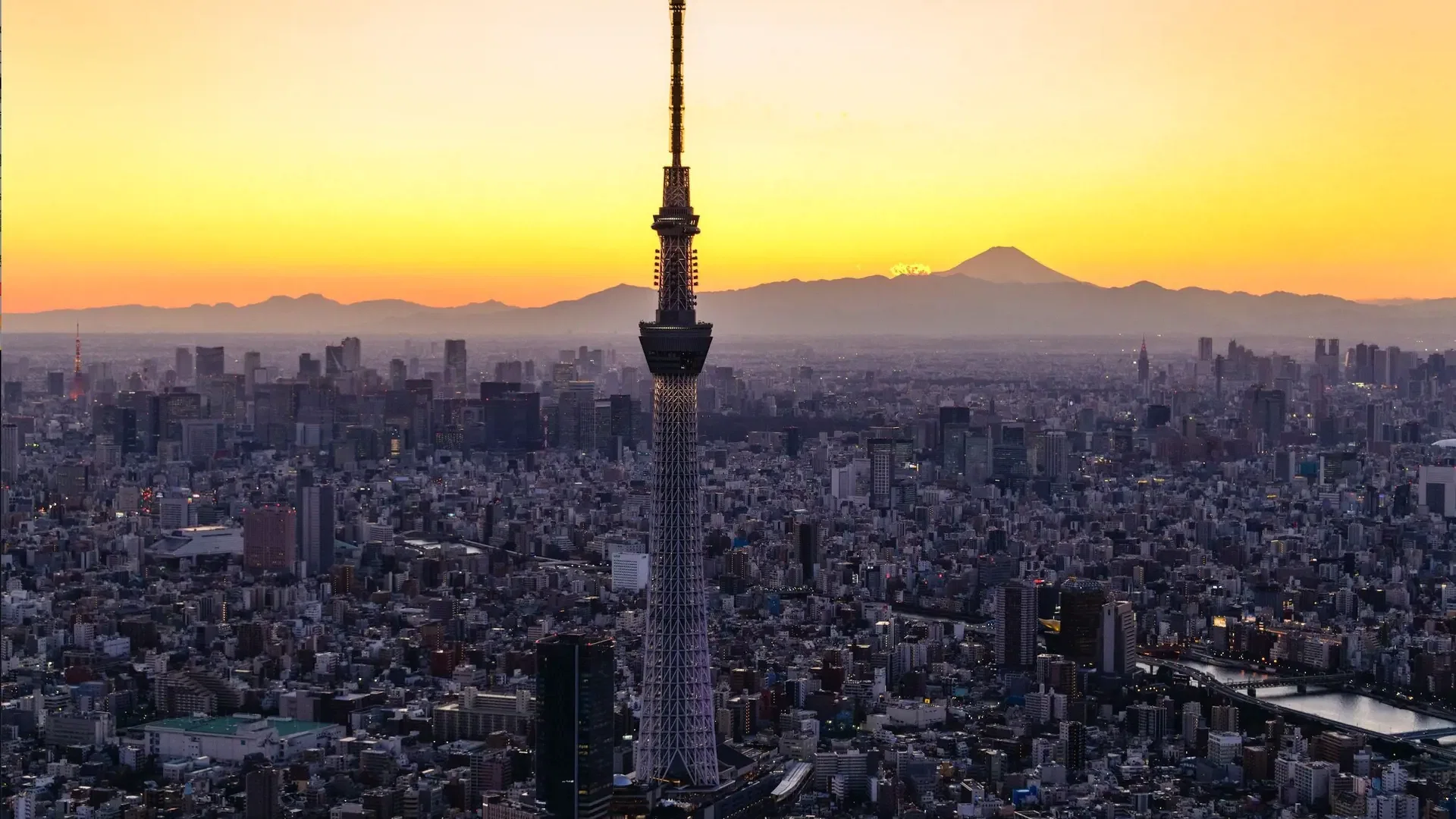 A tall lattice tower rises above a dense urban skyline silhouetted against a golden sunset and distant mountains at COMBO: Tokyo Skytree + teamLab Planets TOKYO Tickets.