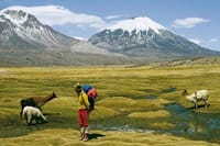 4-Days Unique Experience at the Chilean High Plateau 1