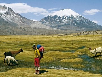 4-Day Adventure Tour of Arica and the Chilean High Plateau