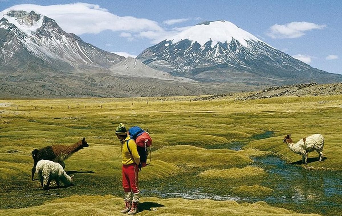 4-Days Unique Experience at the Chilean High Plateau